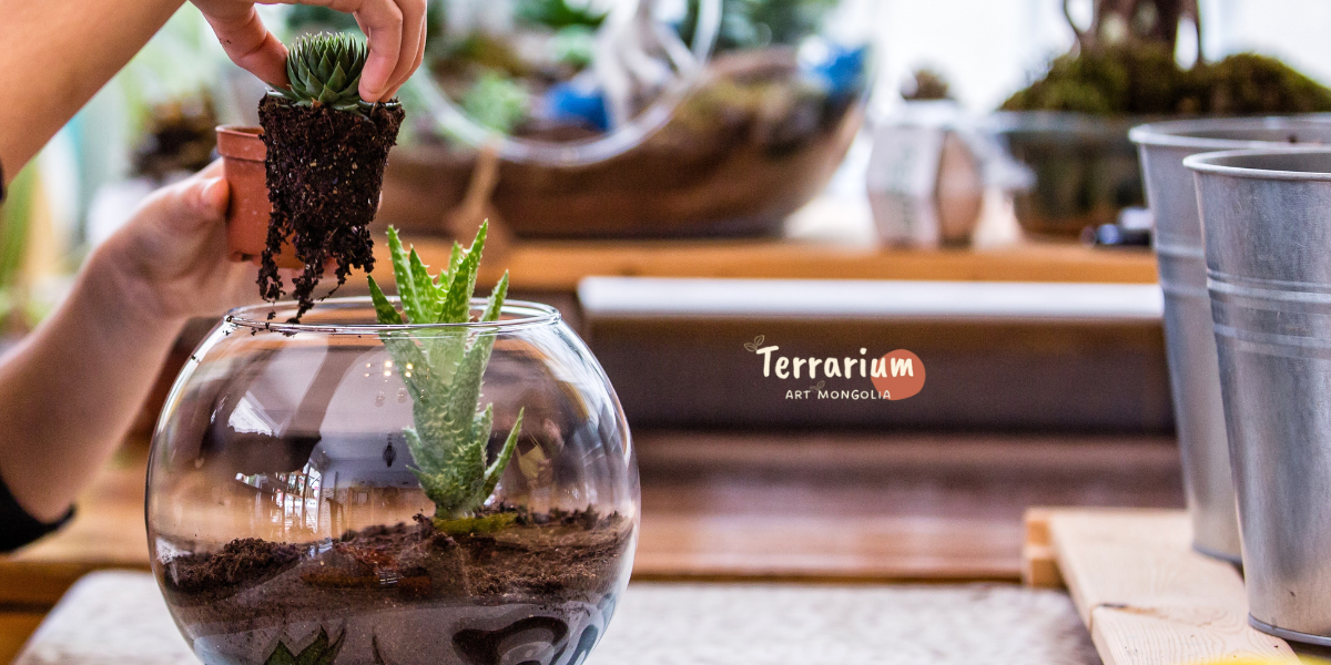Terrarium Art cover